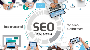 SEO Pro SEO Pro